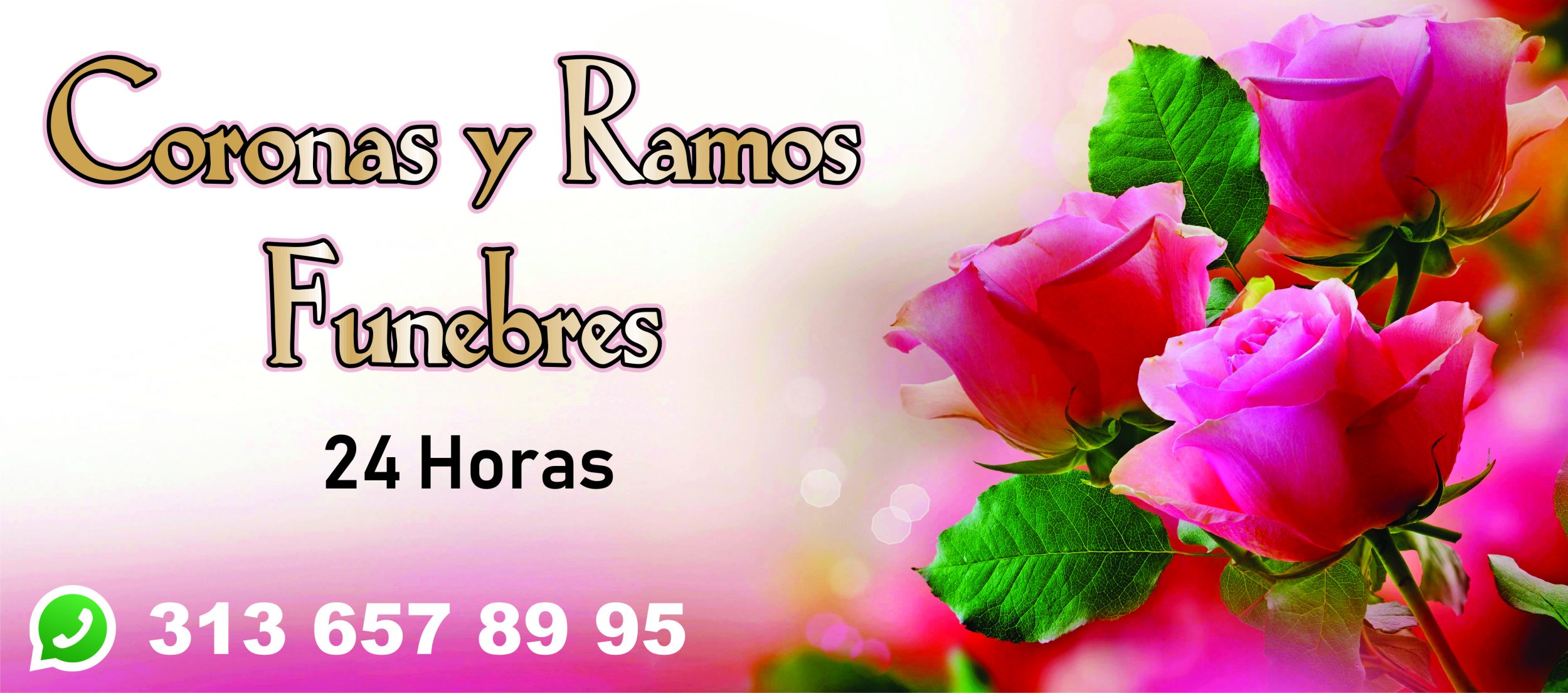 Florister&iacute;a Norte Am&eacute;rica